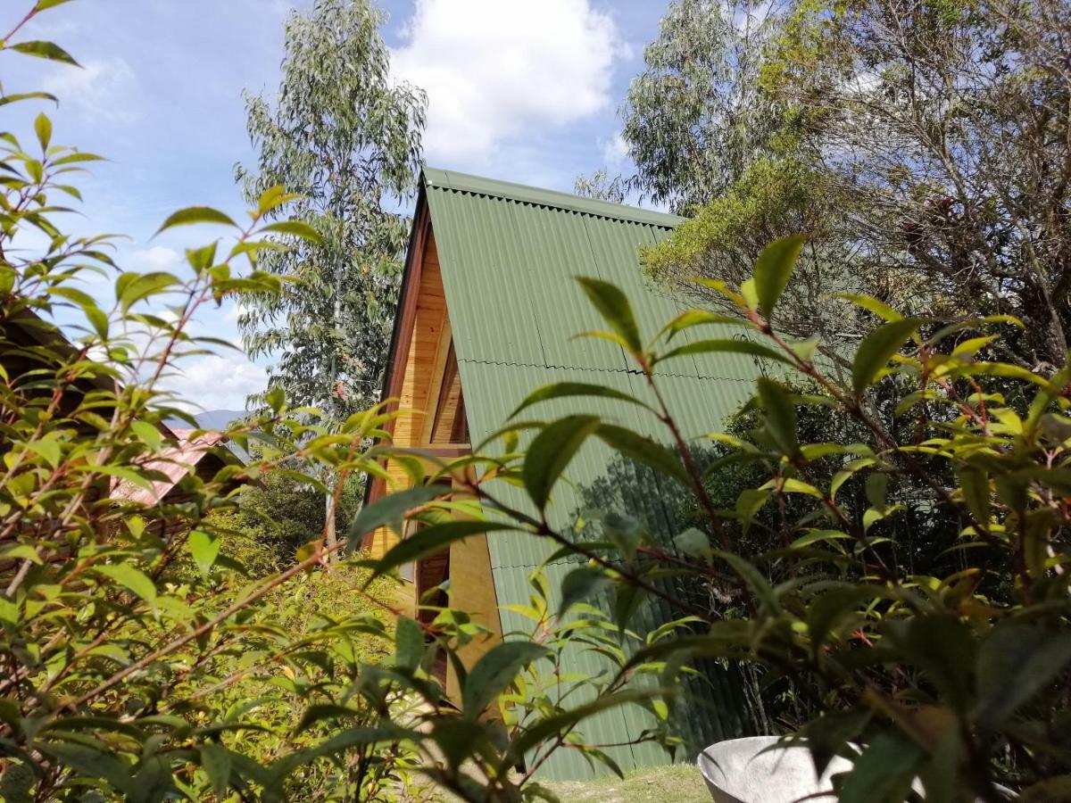 Homestay Helena *
