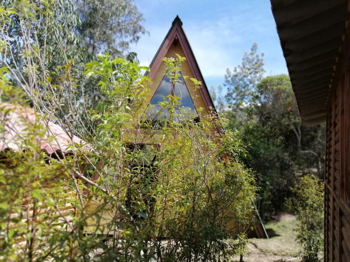 Homestay Helena