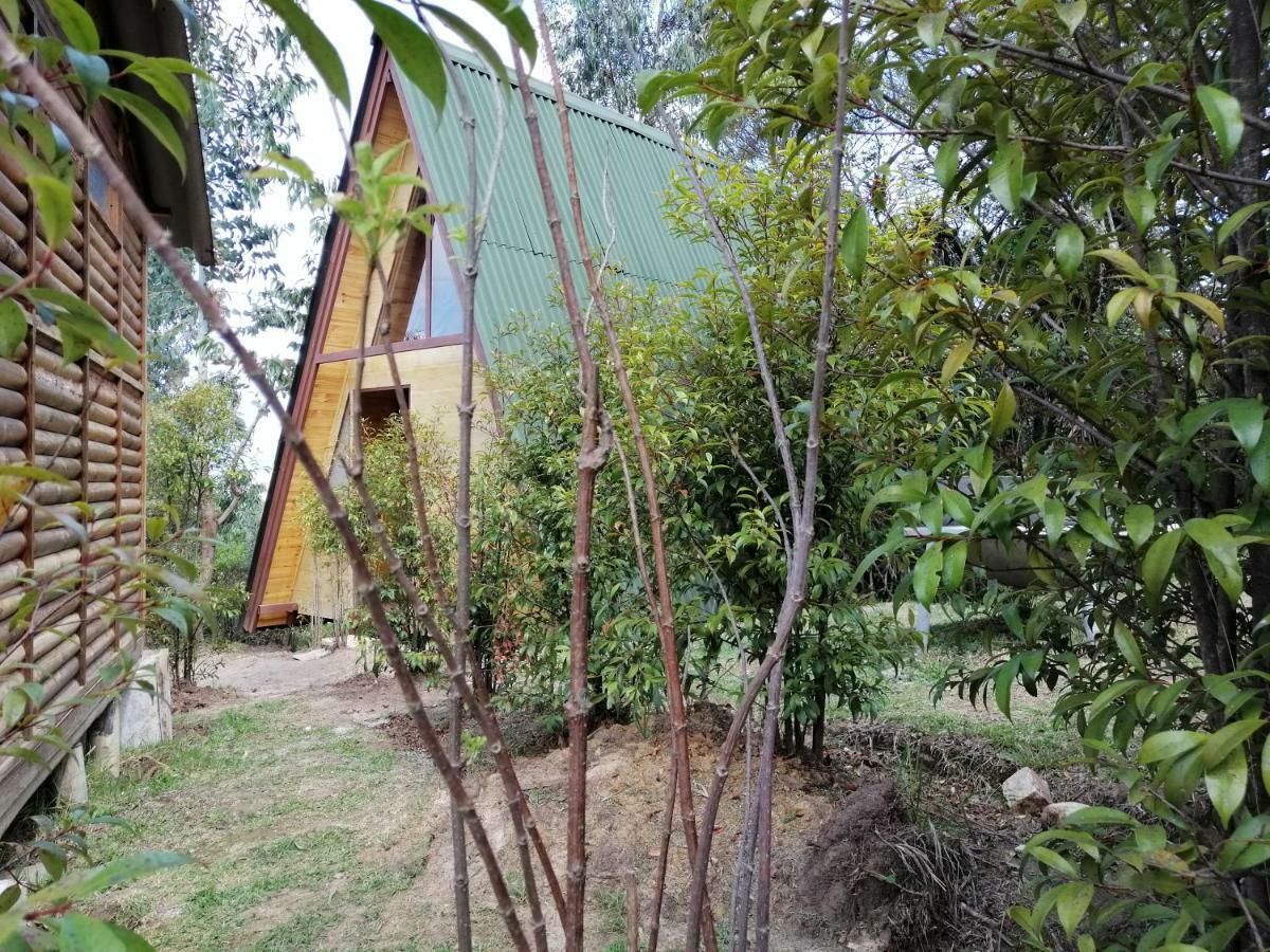 Helena Homestay